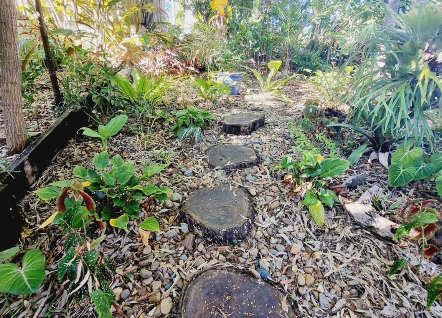 Birdsong Retreat On Lamb Island Bed & Breakfast Karragarra Island